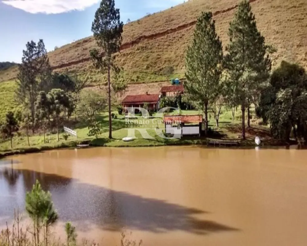 Fazenda, 39 hectares - Foto 3
