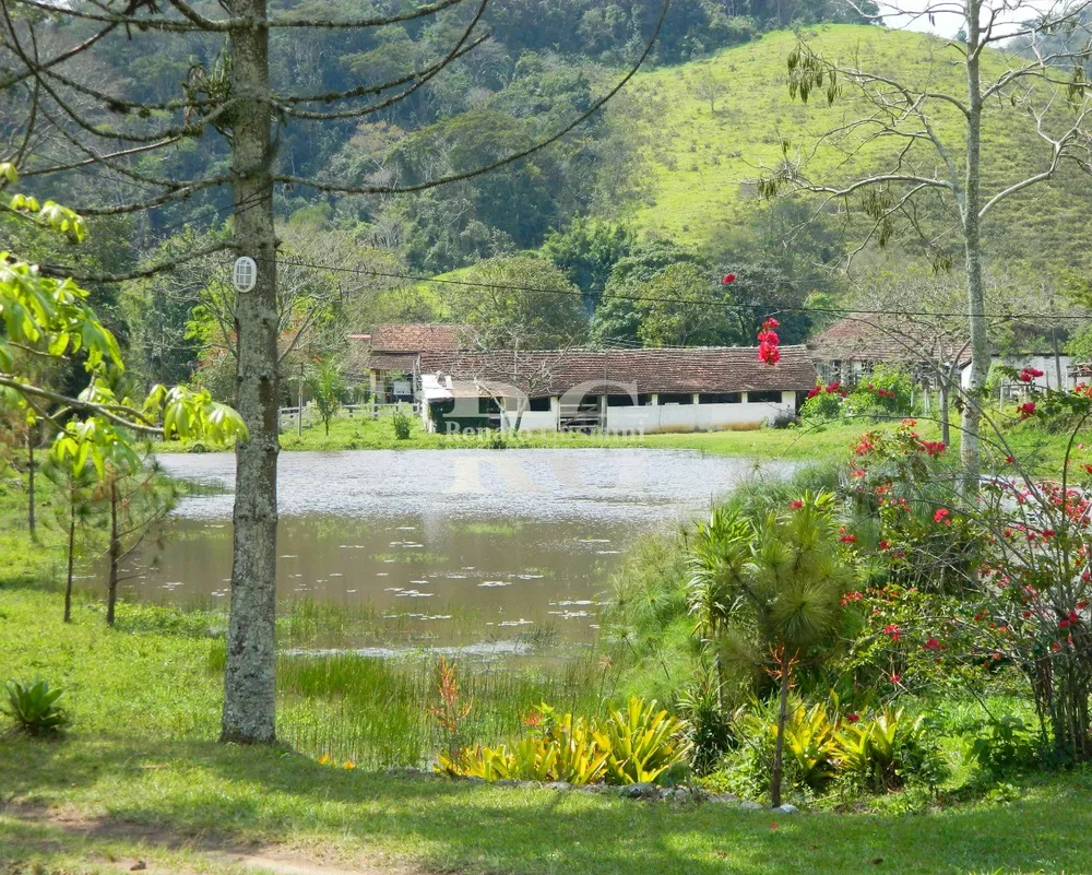 Fazenda, 39 hectares - Foto 9