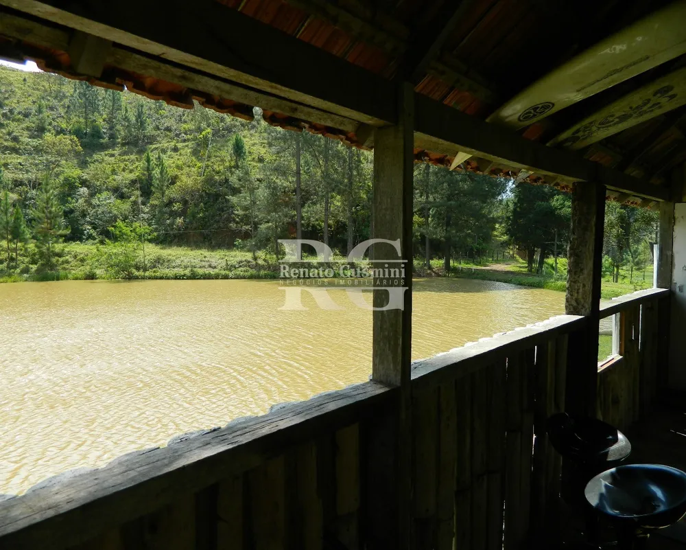 Fazenda, 39 hectares - Foto 11
