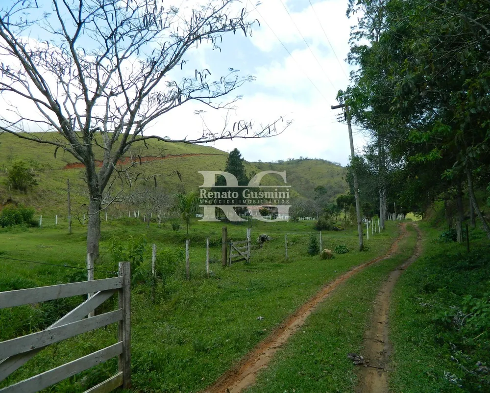 Fazenda, 39 hectares - Foto 12