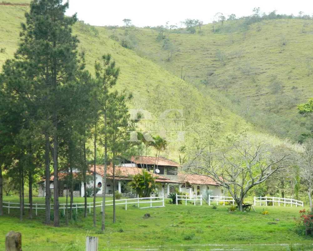Fazenda, 39 hectares - Foto 2