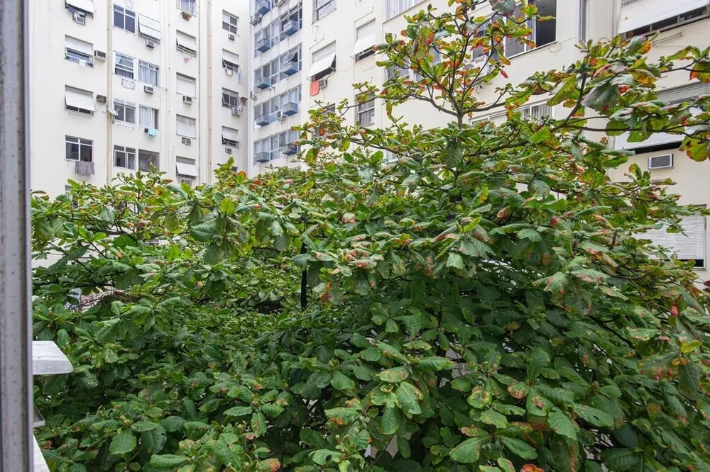 Apartamento, 2 quartos, 133 m² - Foto 29