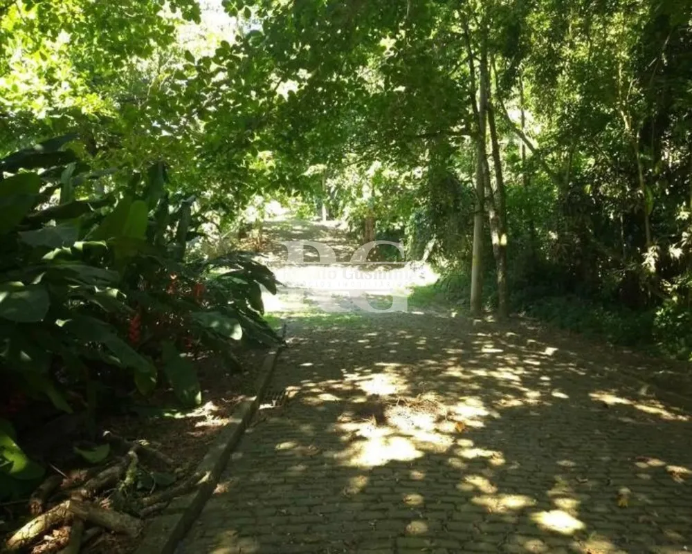 Terreno, 1000 m² - Foto 4