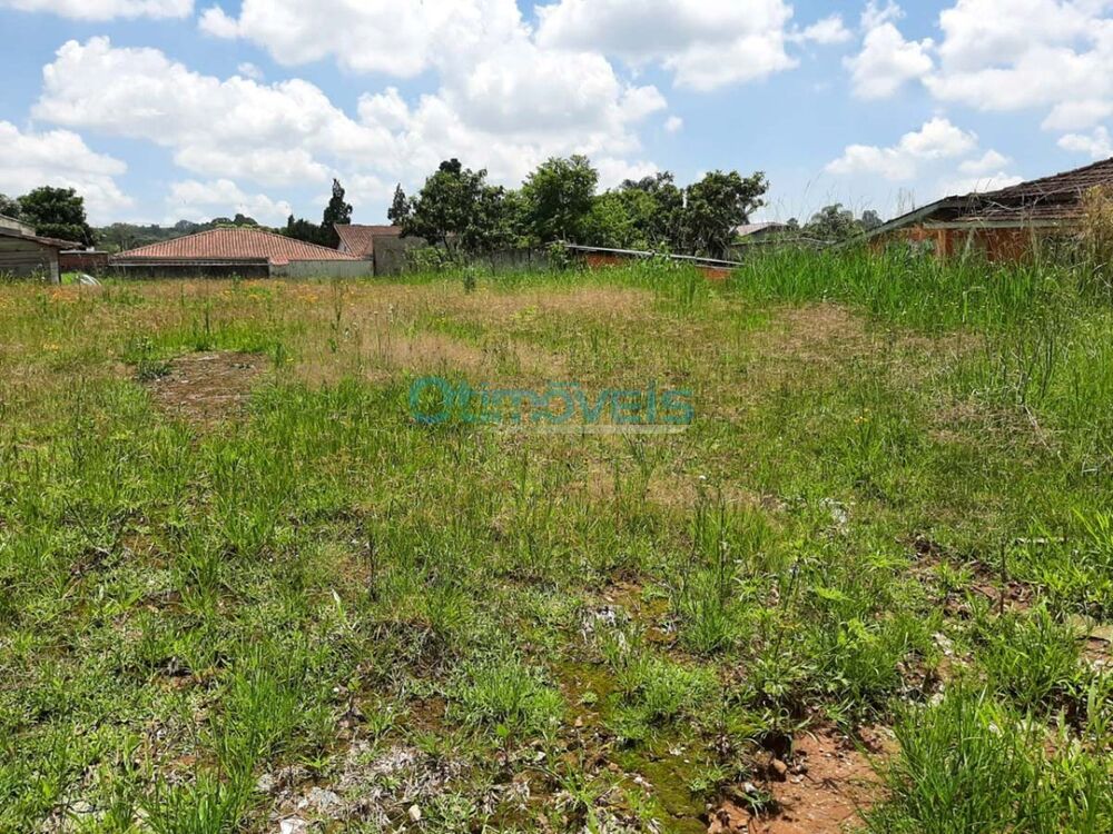 Loteamento e Condomínio, 768 m² - Foto 4