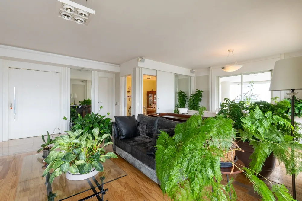 Apartamento, 3 quartos, 260 m² - Foto 4