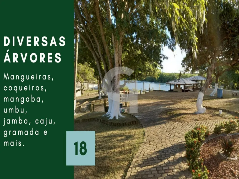 Casa, 14 quartos, 2500 m² - Foto 8