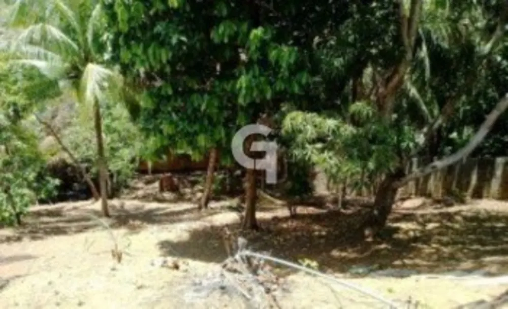 Chácara, 5 quartos, 1800 m² - Foto 14