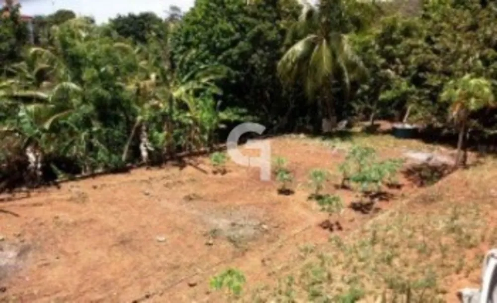 Chácara, 5 quartos, 1800 m² - Foto 13