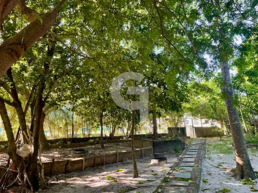 Casa, 4 quartos, 460 m² - Foto 3