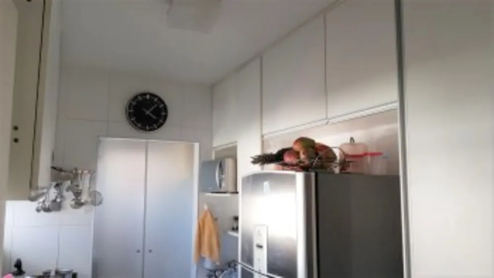 Cobertura, 5 quartos, 300 m² - Foto 4