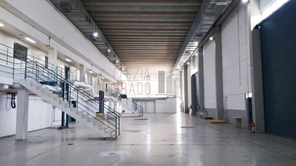 Depósito-Galpão, 5955 m² - Foto 4