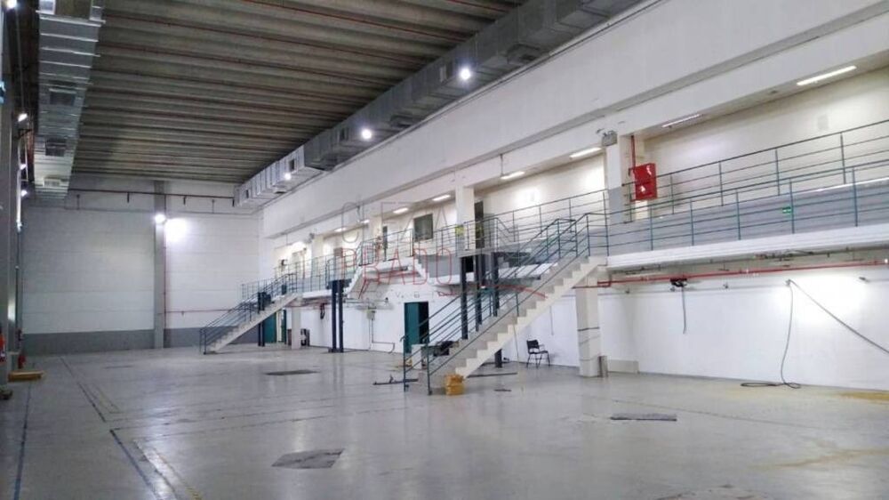 Depósito-Galpão, 5955 m² - Foto 7