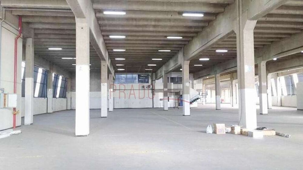 Depósito-Galpão, 7800 m² - Foto 3