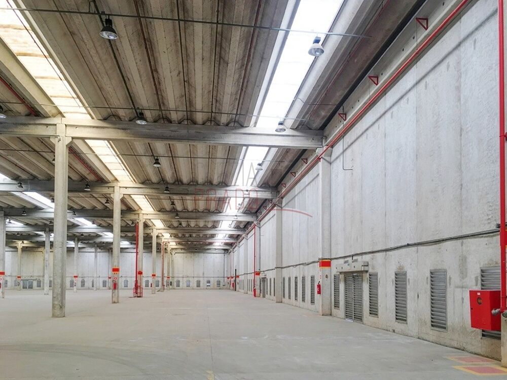 Depósito-Galpão, 16000 m² - Foto 6