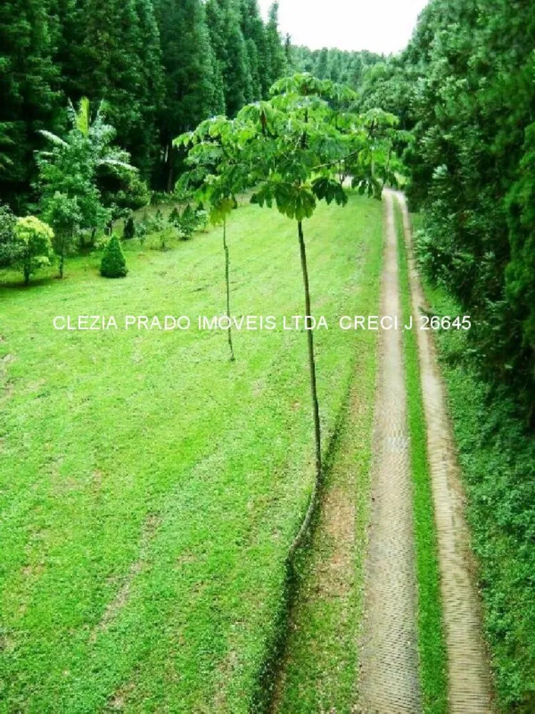 Fazenda, 138 hectares - Foto 12