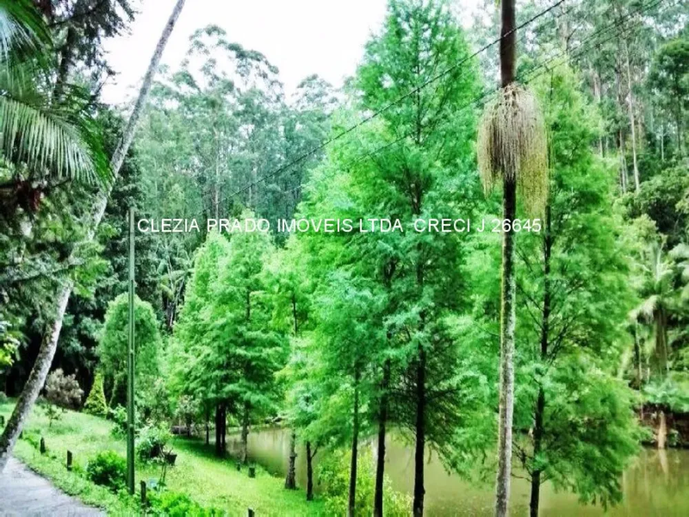 Fazenda, 138 hectares - Foto 4