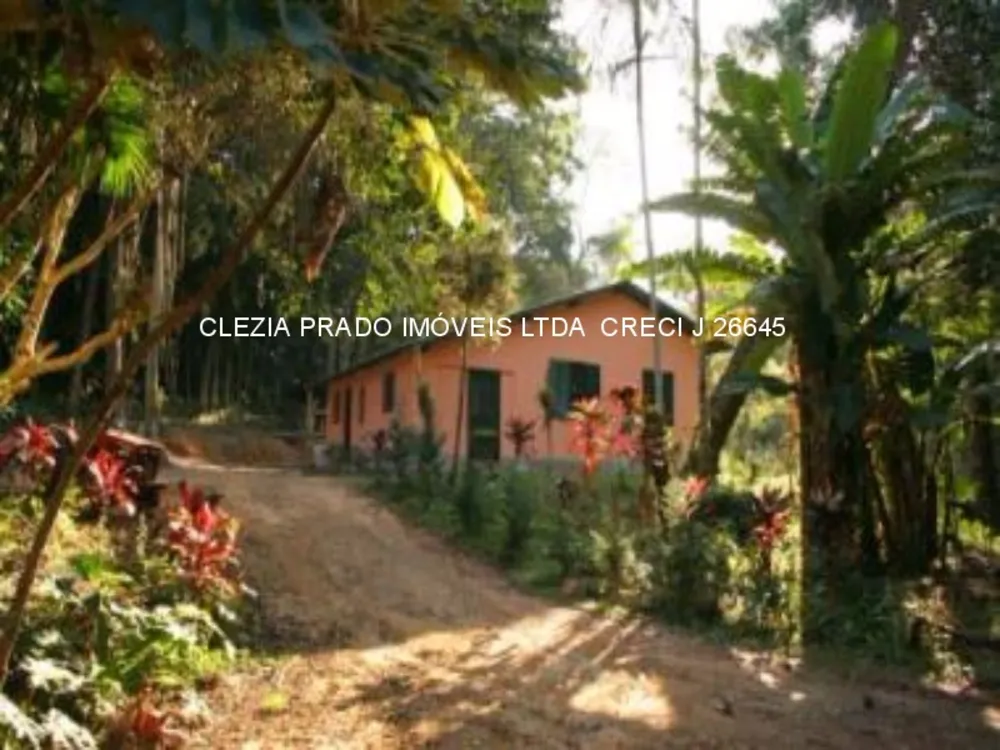 Fazenda, 138 hectares - Foto 11