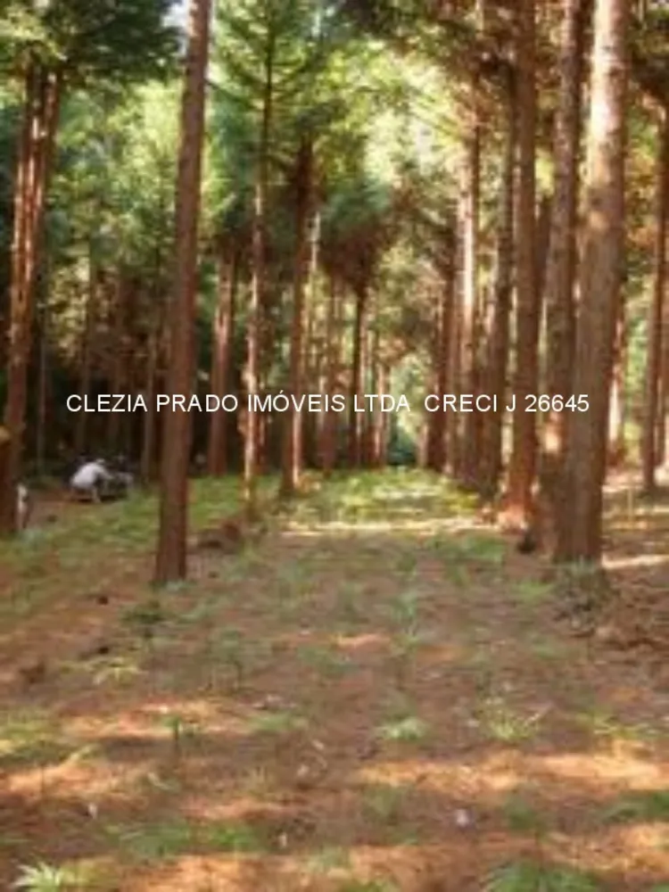 Fazenda, 138 hectares - Foto 13