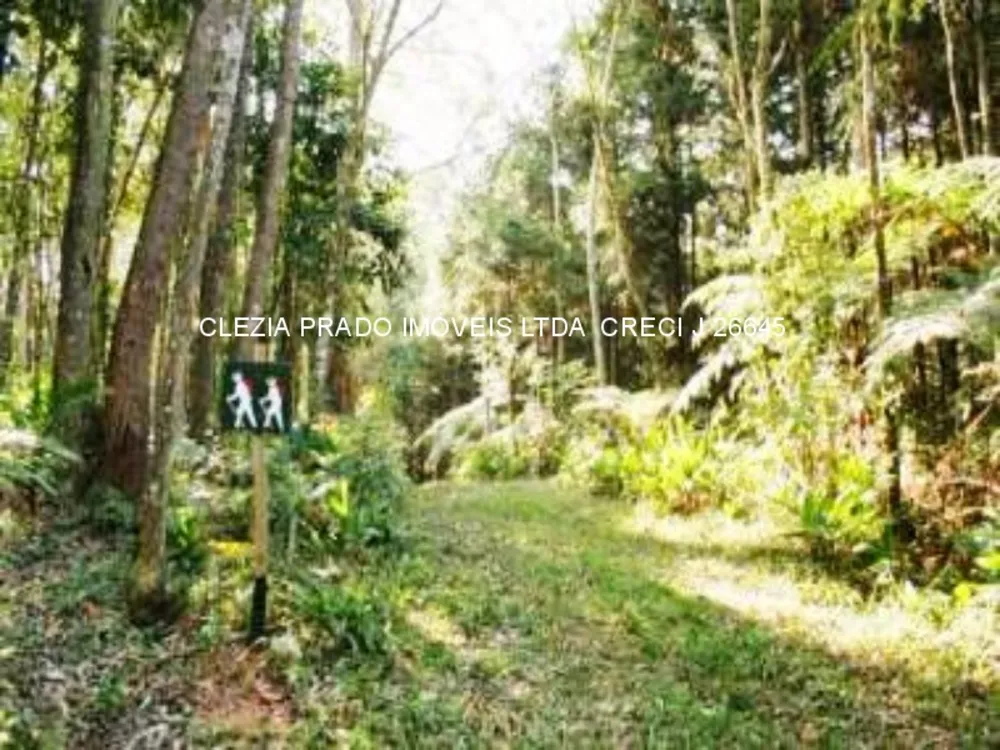Fazenda, 138 hectares - Foto 3