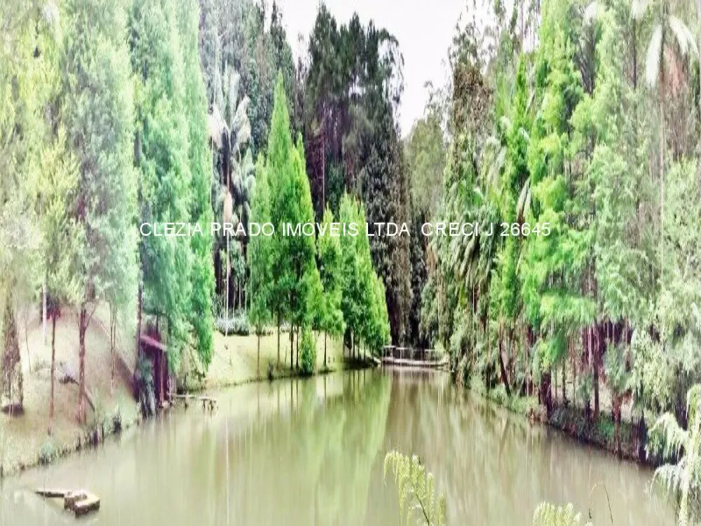 Fazenda, 138 hectares - Foto 19