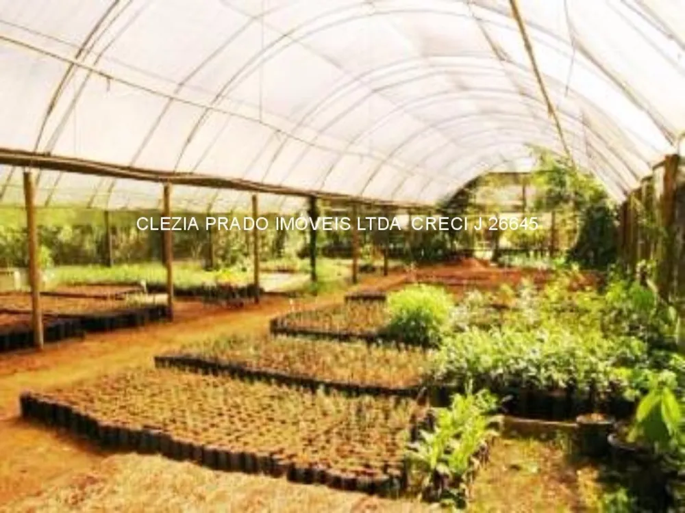 Fazenda, 138 hectares - Foto 18