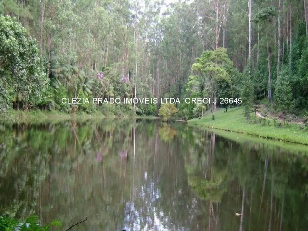 Fazenda, 138 hectares - Foto 7