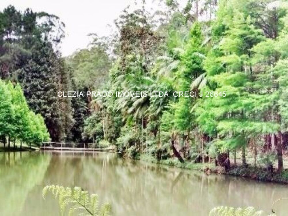 Fazenda, 138 hectares - Foto 4