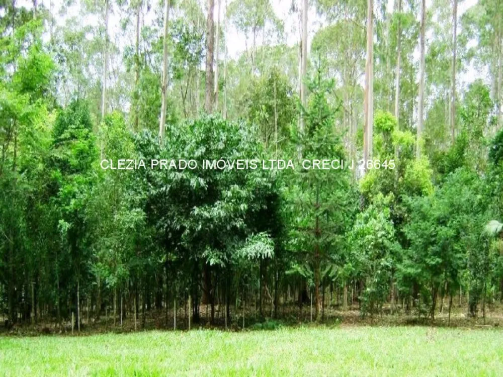 Fazenda, 138 hectares - Foto 8