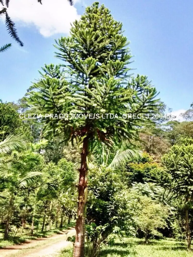Fazenda, 138 hectares - Foto 17