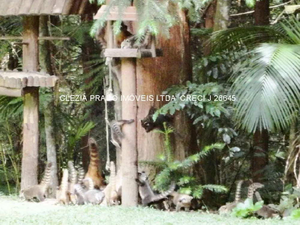 Fazenda, 138 hectares - Foto 20