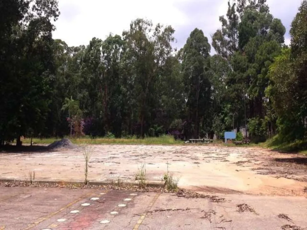 Depósito-Galpão, 30000 m² - Foto 3