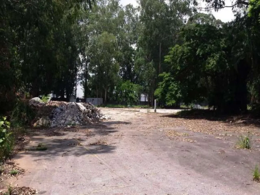 Depósito-Galpão, 30000 m² - Foto 2