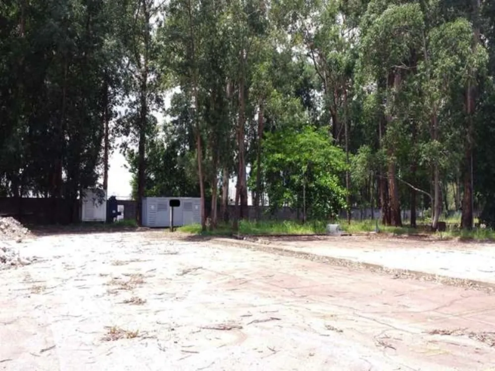 Depósito-Galpão, 30000 m² - Foto 9
