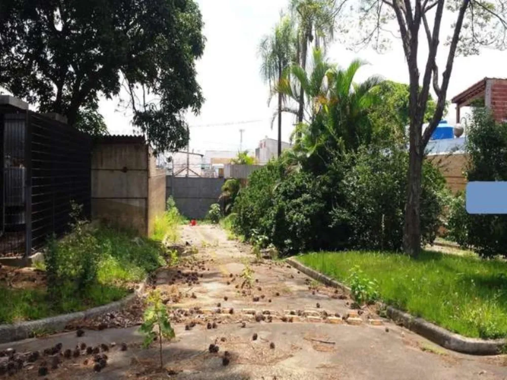 Depósito-Galpão, 30000 m² - Foto 4