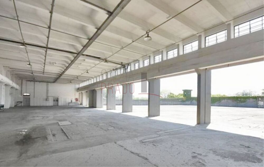 Depósito-Galpão, 4073 m² - Foto 2