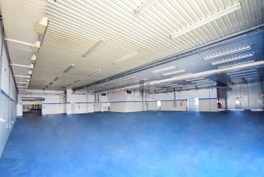 Depósito-Galpão, 25000 m² - Foto 3