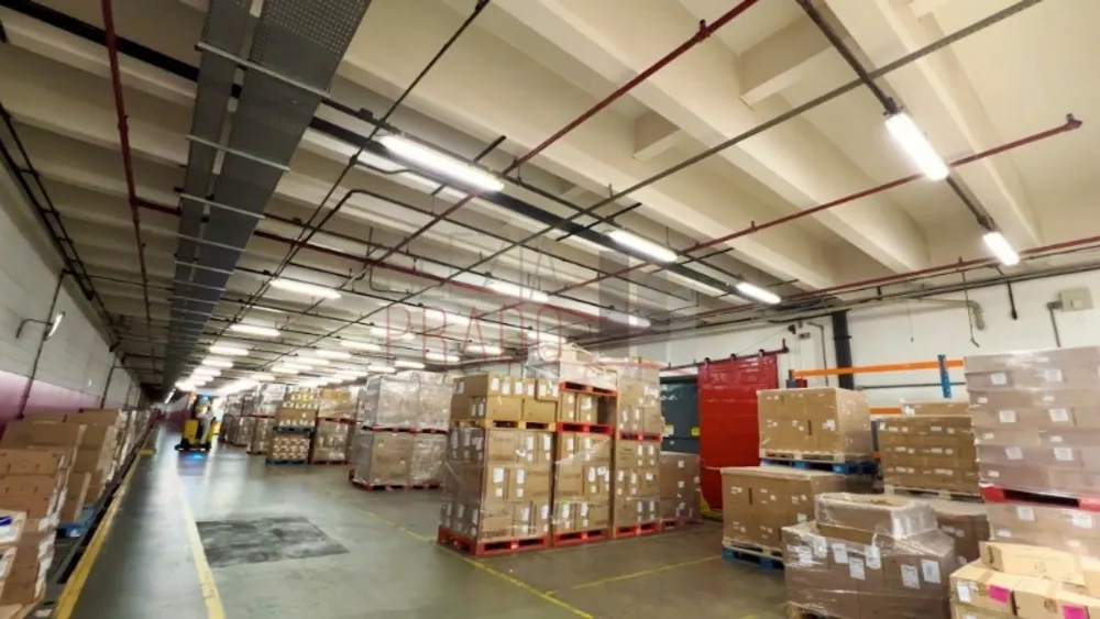 Depósito-Galpão, 6500 m² - Foto 5