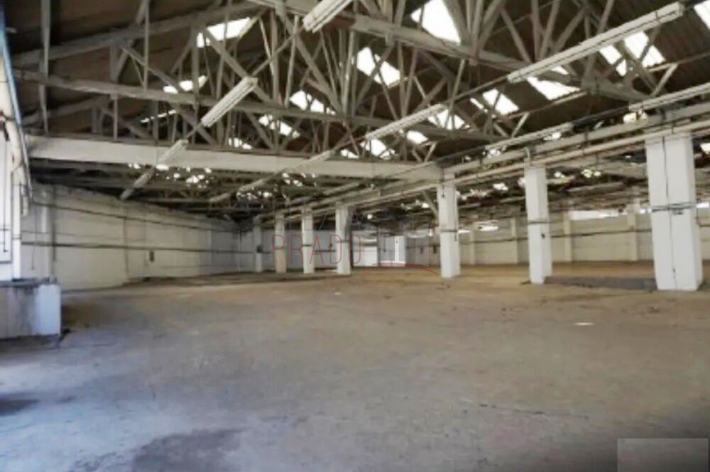 Depósito-Galpão, 6192 m² - Foto 3