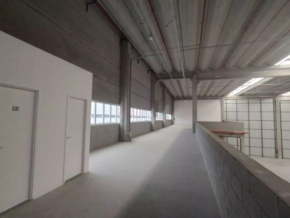 Depósito-Galpão, 2795 m² - Foto 12