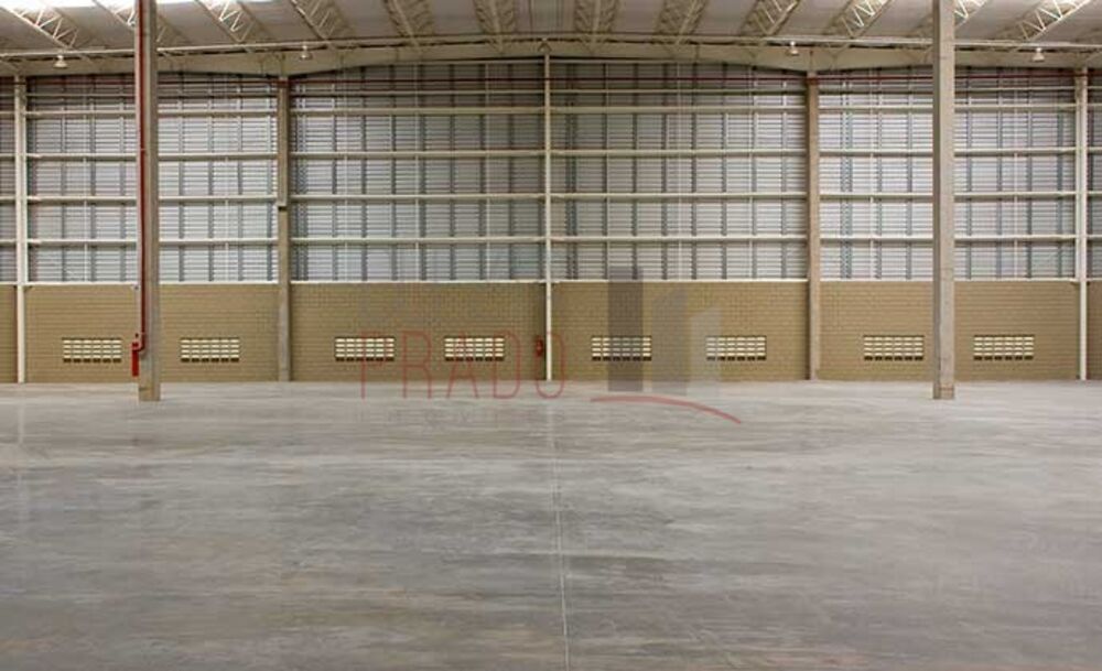 Depósito-Galpão, 4303 m² - Foto 9