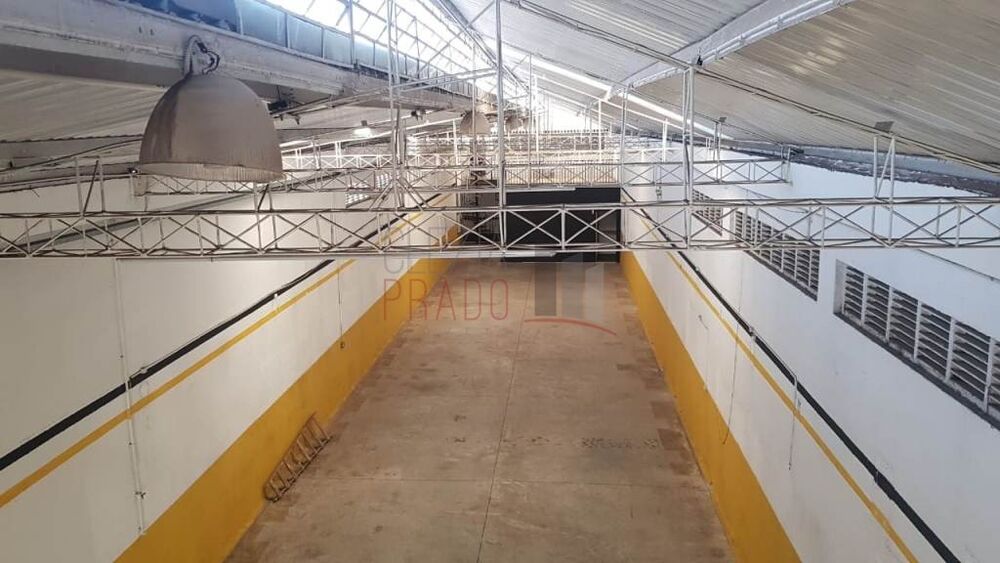 Depósito-Galpão, 384 m² - Foto 18