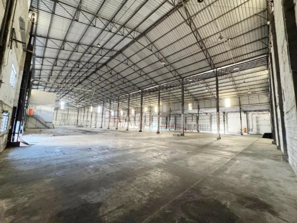 Depósito-Galpão, 11500 m² - Foto 4