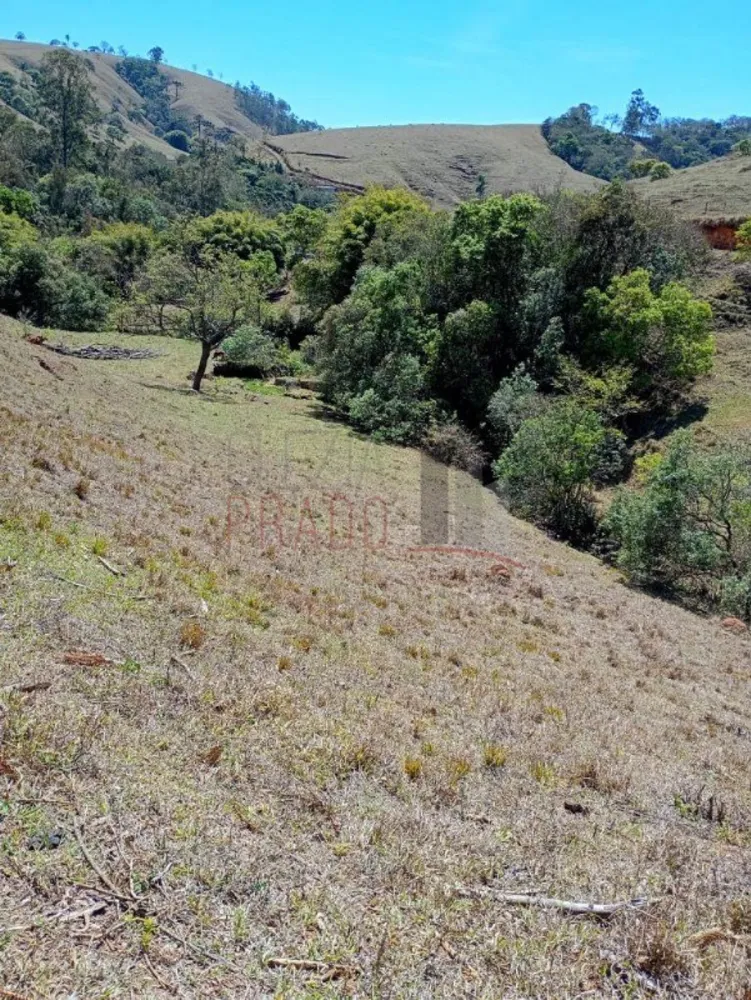 Sítio, 8 hectares - Foto 4