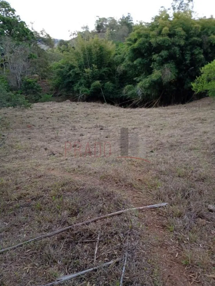 Sítio, 8 hectares - Foto 10