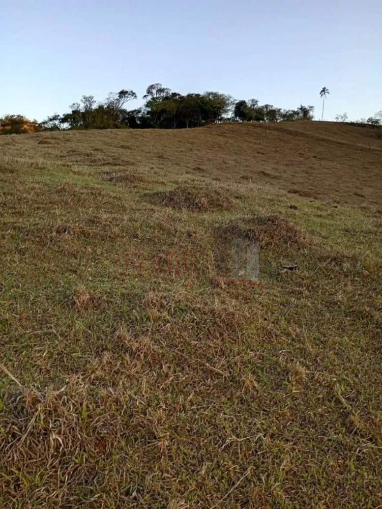 Sítio, 8 hectares - Foto 11