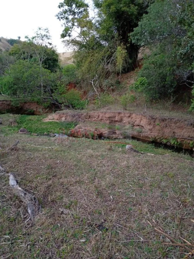 Sítio, 8 hectares - Foto 8