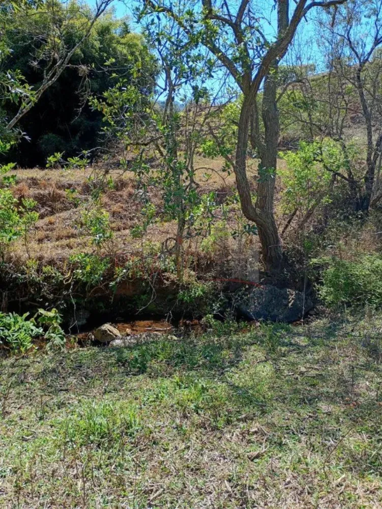 Sítio, 8 hectares - Foto 6