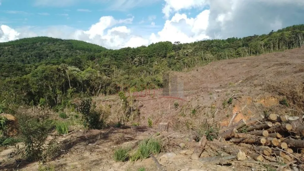 Terreno, 20000 m² - Foto 3