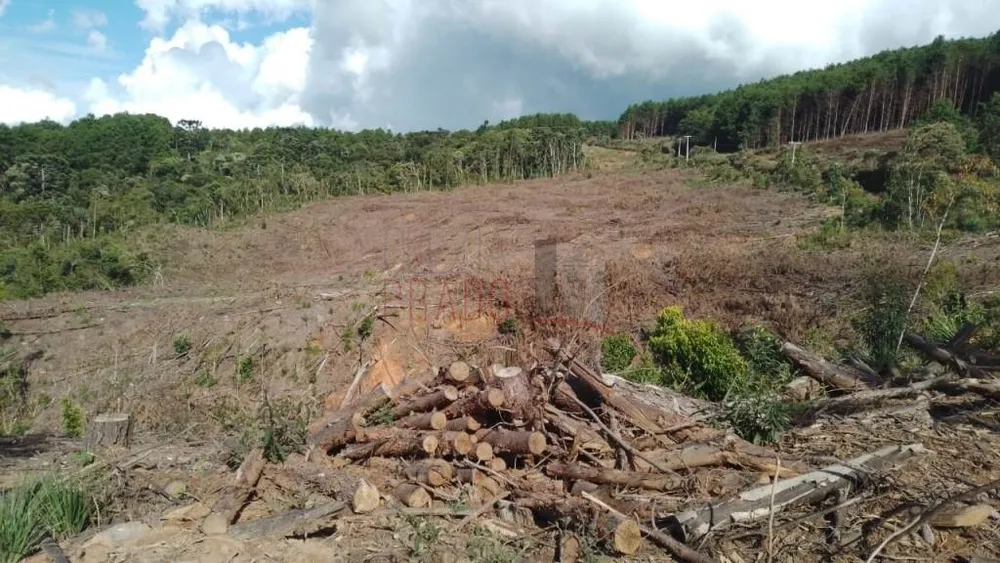 Terreno, 20000 m² - Foto 4