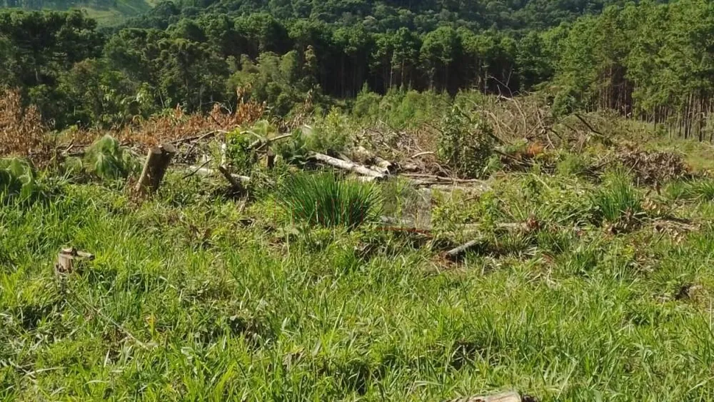 Terreno, 20000 m² - Foto 1